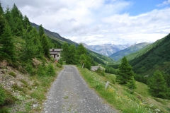 Passo Val Viola (2367m) e Rifugio Viola (2314m) (35)